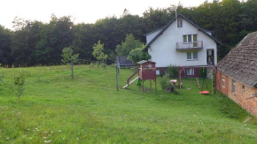 Agroturystyka Czarna Dąbrowa